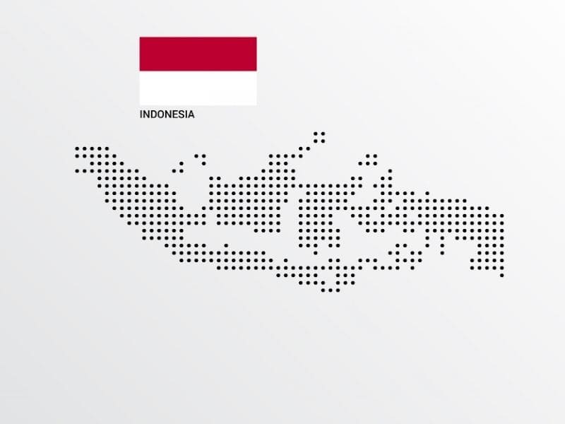 Indonesia wholesale raw material procurement, Asia-Pacific logistics and supply chain management